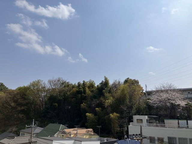 展望
