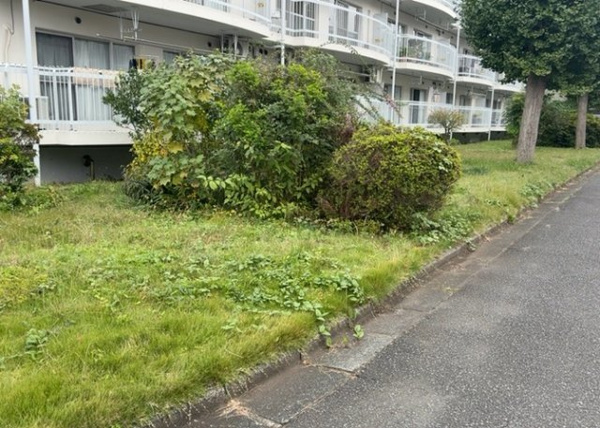 【相模原富士マンションＢの庭】