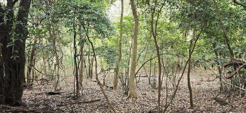 外観：312001144699