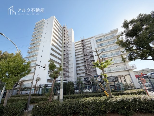 外観：328000594485