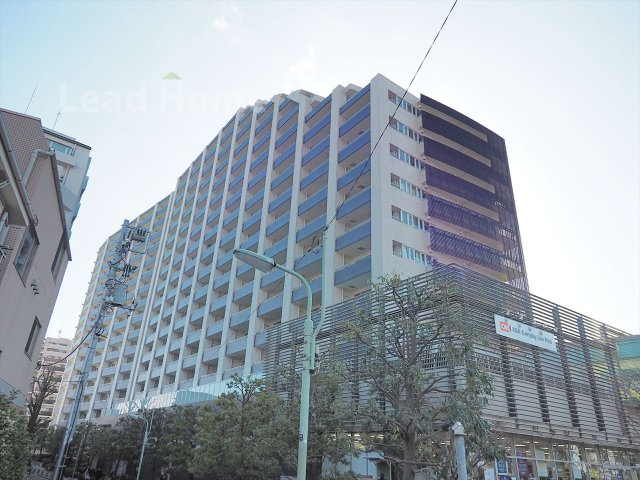 外観：313004650607