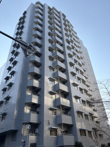 外観：313004662748