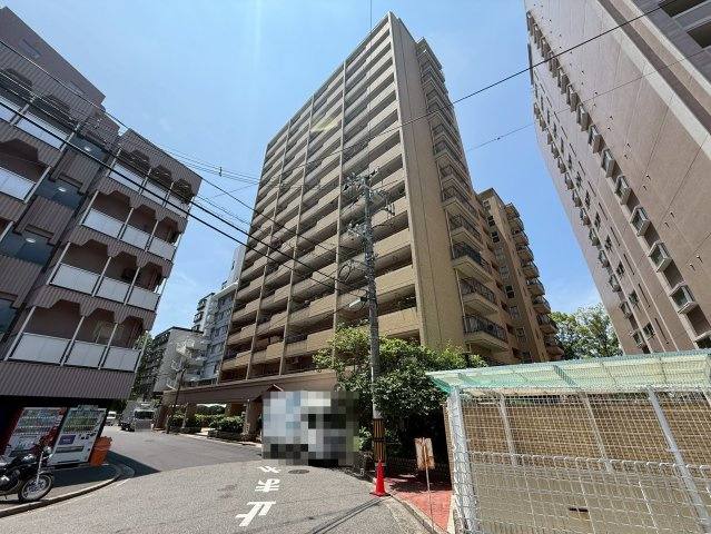 外観：334000249355