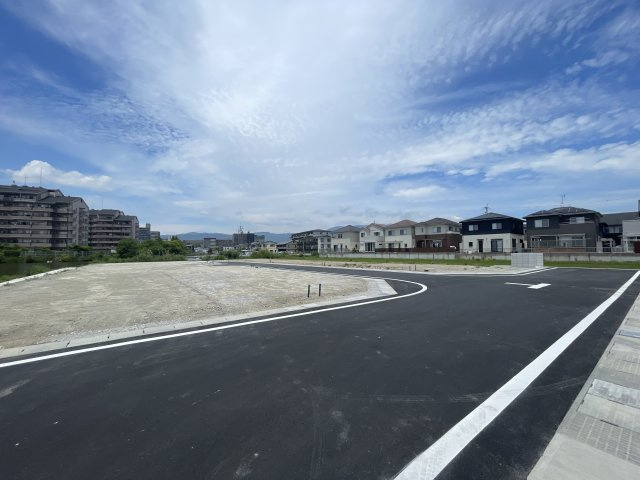 8年5月撮影　