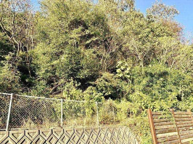 外観：322000558152