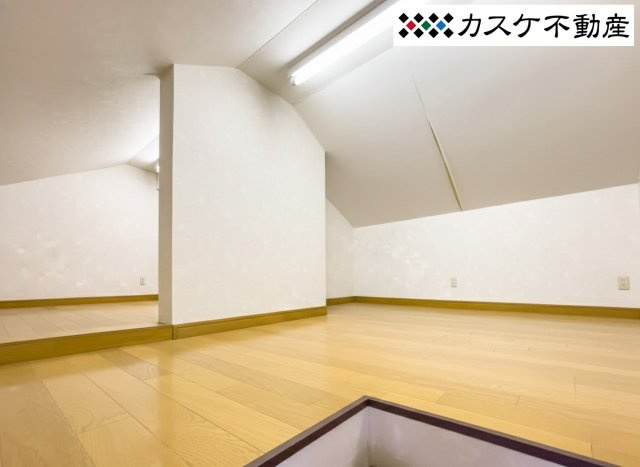 季節ものや家族の思い出のもの等頻繁に使用しないもの等収納できる小屋裏収納になります。