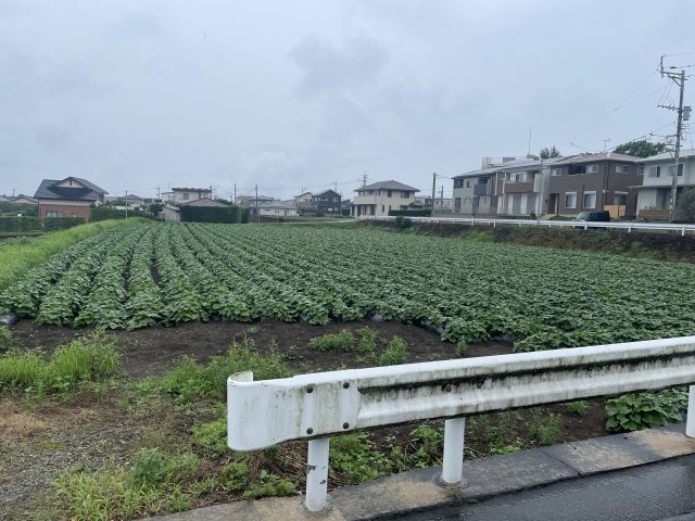 外観：343000087833