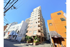 ダイアパレス横須賀中央の外観