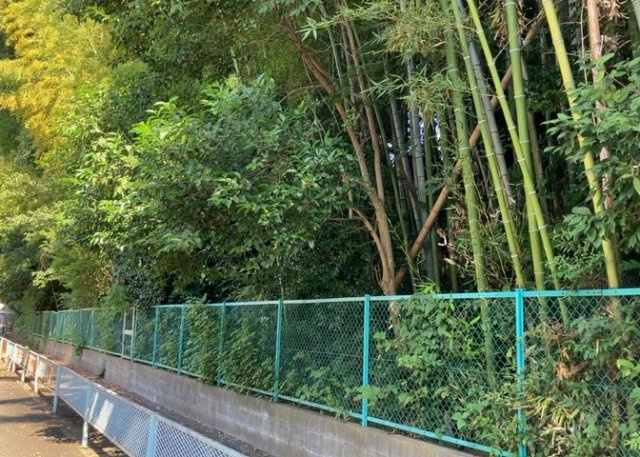 土地の地勢が高台の場合、景色を綺麗にみることができ、景色にこだわってお家探ししている方におすすめです！また平坦地よりも風通しがいいというメリットがあります。デメリットもあるので是非現地でご確認下さい。
