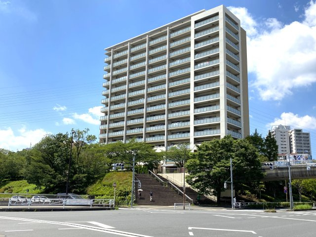 外観：313004294862