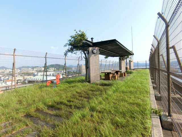 屋上