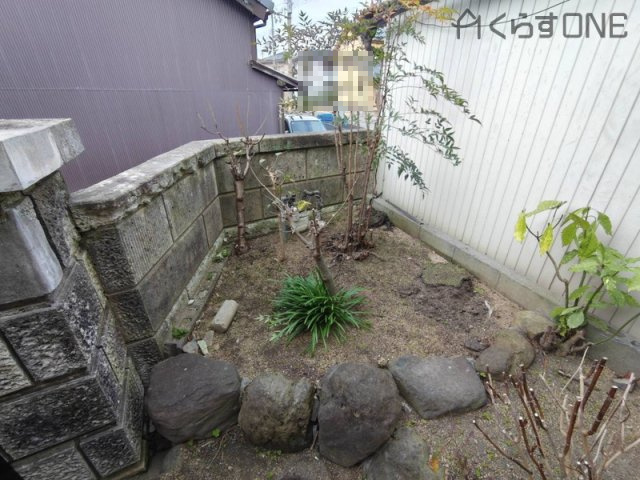 庭