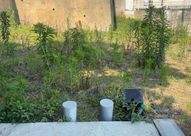 土地の面積＝住宅面積ではありません。建ぺい率の問題などで、土地のある場所によって住宅を建てられる面積は限られています。高さもしかり、「土地」という言葉の中には、建築条件も含まれると考えておきましょう。
