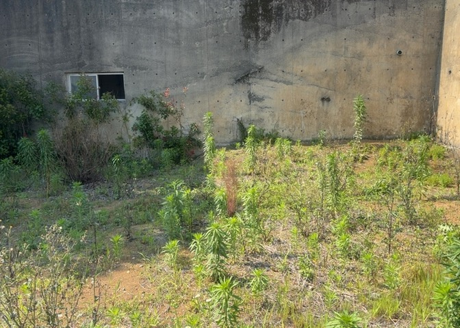 土地を買う際、住む地域の自治体や福祉の補助制度にも注目してみましょう。子供や老人の医療補助やゴミ出しのルールなど、自治体によってルールに大きな違いがあるため、暮らしやすい土地で判断するとよいでしょう。