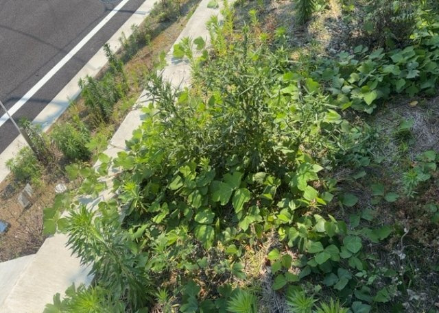 土地探しをしていると都市計画区域という言葉を目にすると思います。法律によって、都道府県知事や国土交通大臣が指定するエリアのことを指しており、都市計画区域は市街化区域と市街化調整区域に分けられています。