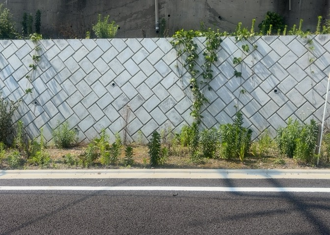 物件の詳細については、現地を見てわかること以外に、役所や法務局などで調べないとわからないことがあります。そのため、現地に行く場合は、もしこの物件を買ったらどのような生活ができるかをイメージしましょう。