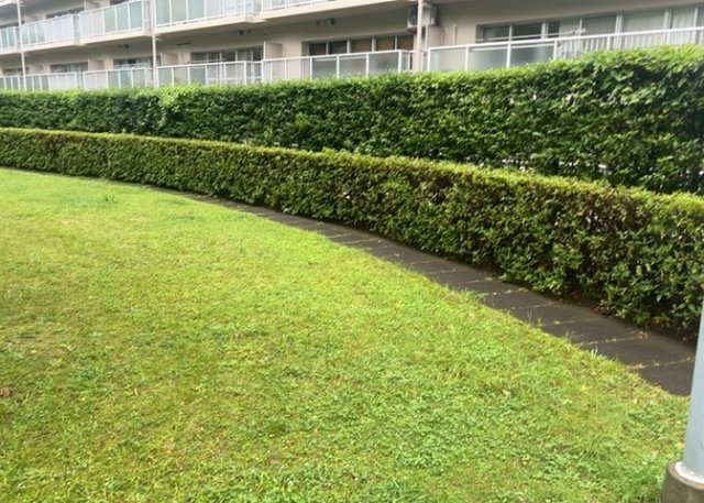物件によっては、入居者が個人的に使用できる専用庭がついているものもあります。また、住宅の中にある土間の部分を庭と呼ぶこともあります。庭の用途は住む人によって変わり、それによってデザインもさまざまです。