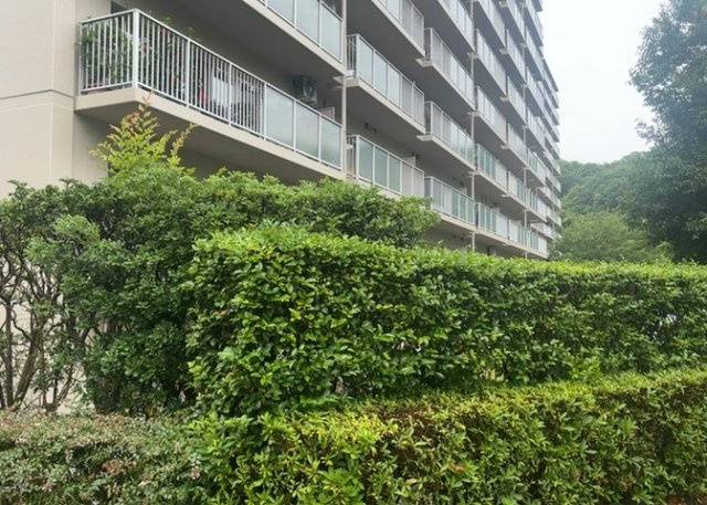 中庭（パティオ）とは、一つの建築物の内部に設けられた、壁などで囲われている庭のことを指します。コの字型、ロの字型が主流ですが、L字型の中庭もあります。最近では、インテリア性の高さからも人気があります。