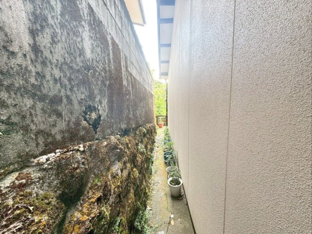 隣地（南西側）との境界付近の様子