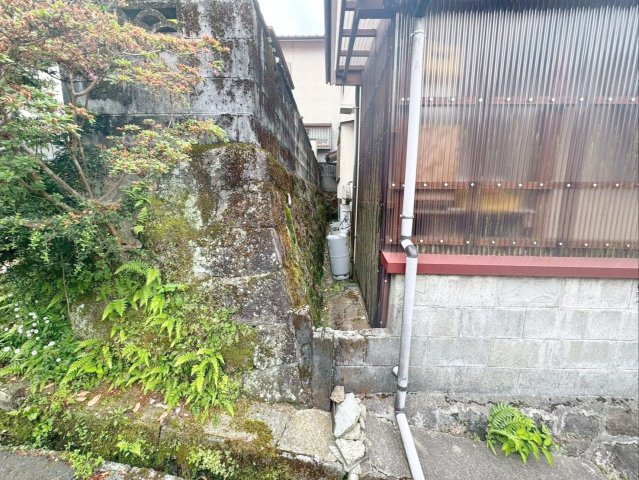 隣地（南東側）との境界付近の様子