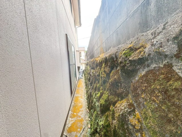 隣地（南東側）との境界付近の様子