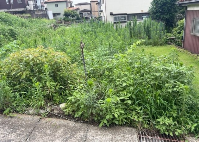 土地を買う際、住む地域の自治体や福祉の補助制度にも注目してみましょう。子供や老人の医療補助やゴミ出しのルールなど、自治体によってルールに大きな違いがあるため、暮らしやすい土地で判断するとよいでしょう。
