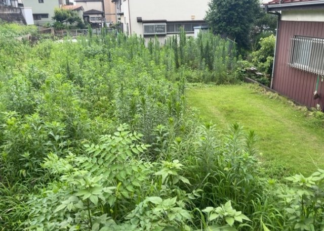 土地の前の道路に消火栓が設置されていることがあります。この場合、道路交通法第45条第1項により、駐車禁止の場所が指定されています。そのため、車庫などの駐車スペースをつくることができない場合があります。