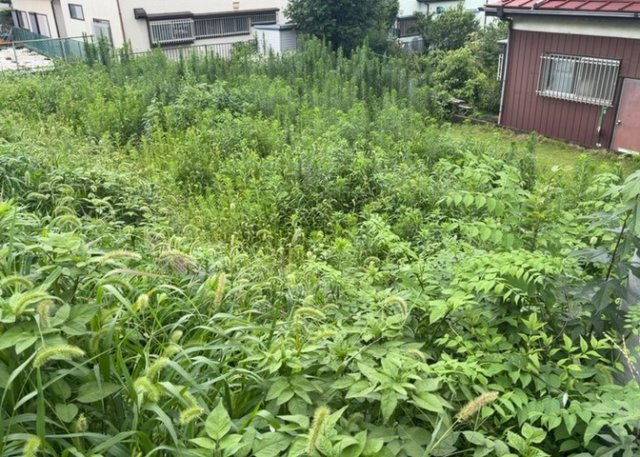 人が暮らすうえで日光は大切な要素となります。日当たりの良さは譲れないポイントですね。併せて近くに大きな建築物の建築予定がないか、あるいはそれが可能な土地が近くにないか事前に確認することもお勧めします。