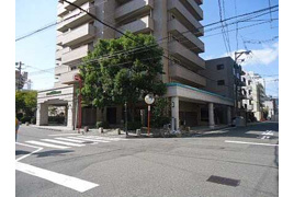 ベルマリオ本川公園の外観