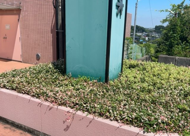 物件によっては、入居者が個人的に使用できる専用庭がついているものもあります。また、住宅の中にある土間の部分を庭と呼ぶこともあります。庭の用途は住む人によって変わり、それによってデザインもさまざまです。