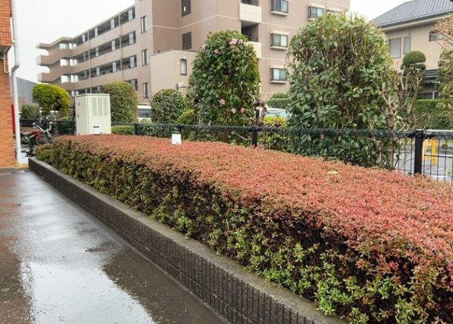 物件によっては、入居者が個人的に使用できる専用庭がついているものもあります。また、住宅の中にある土間の部分を庭と呼ぶこともあります。庭の用途は住む人によって変わり、それによってデザインもさまざまです。