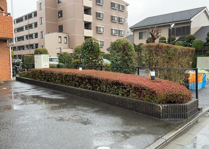 中庭（パティオ）とは、一つの建築物の内部に設けられた、壁などで囲われている庭のことを指します。コの字型、ロの字型が主流ですが、L字型の中庭もあります。最近では、インテリア性の高さからも人気があります。