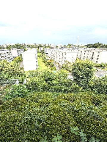 建物後ろのお庭の部分です