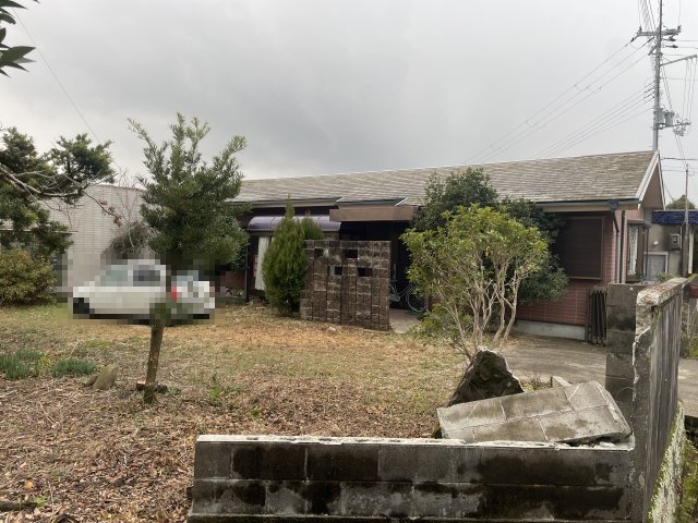 令和7年1月撮影