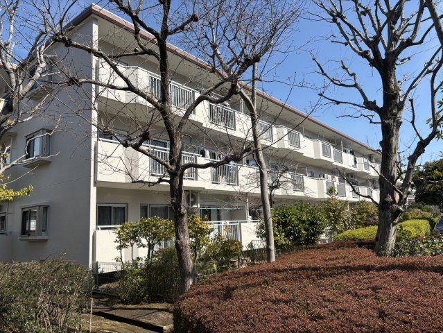 外観：313004659704