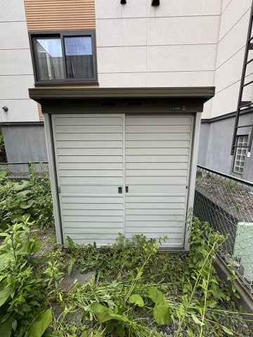 庭
