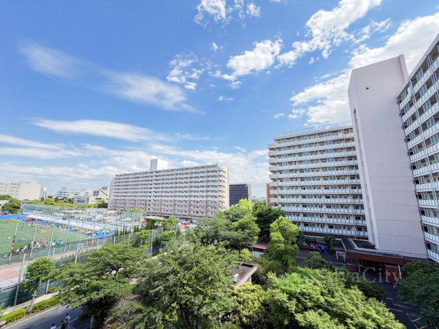 展望