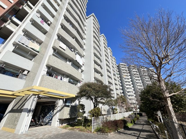 外観：314002611424