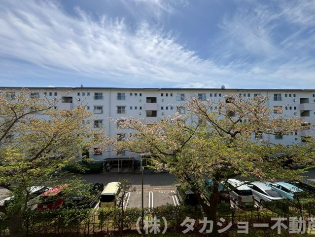 展望