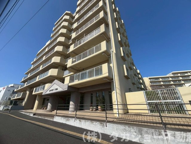 外観：312001206513