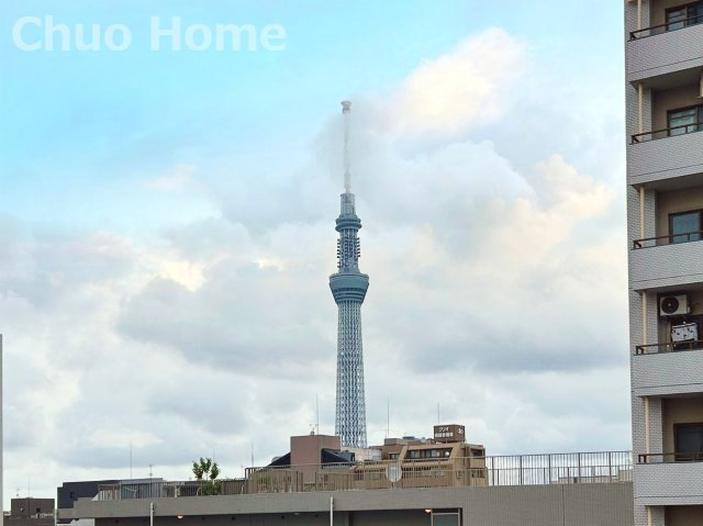 スカイツリーが望めます