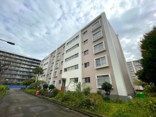 外観：313004507115