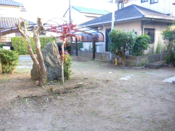 庭