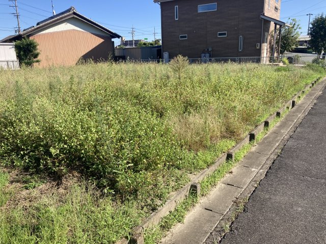 外観：323000466091