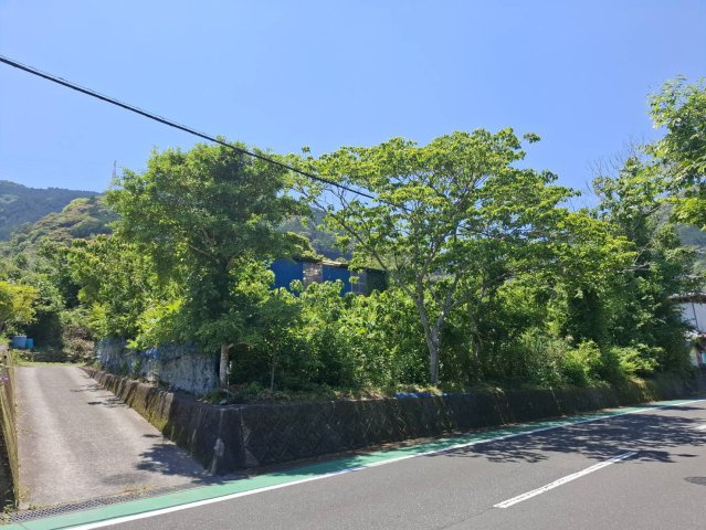 豊かな自然に包まれた、穏やかな環境が魅力です。