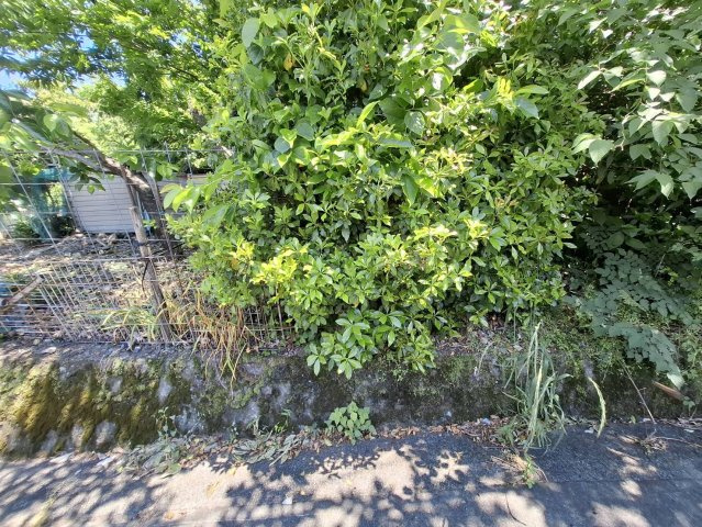 緑豊かな環境で、ゆったりとした時間を過ごせます。