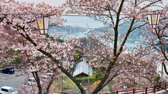 尾道水道を望む、開放感あふれる眺望。春には美しい桜が広がり、ご自宅にいながらお花見気分を楽しめます♪　季節によって表情を変える尾道らしい景色を、毎日の暮らしの中でゆったりと楽しめる贅沢なロケーション。