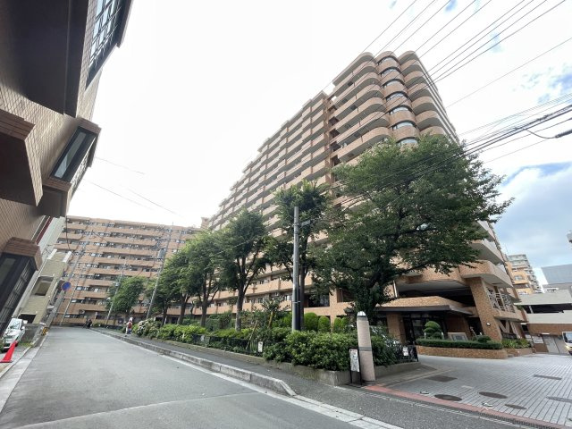外観：311002442546