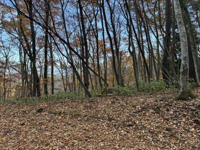 外観：320000026689