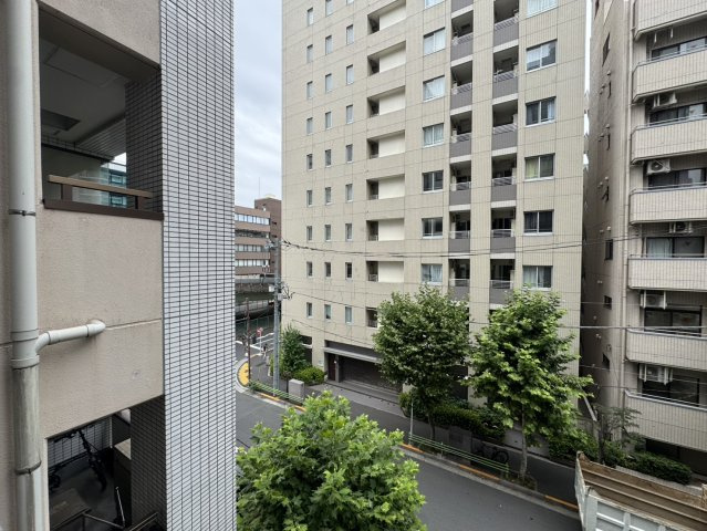 展望